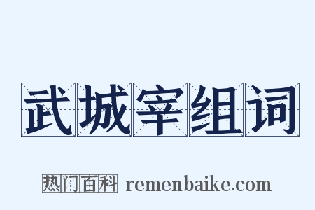武城宰组词是什么意思的图片